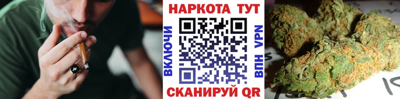 Где найти наркотики Пудож АМФЕТАМИН  Cocaine  МЕТАМФЕТАМИН  Канабис  Alpha-PVP  Мефедрон 