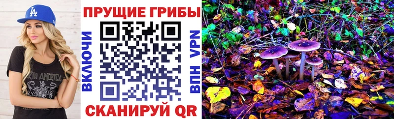 Галлюциногенные грибы MAGIC MUSHROOMS Пудож