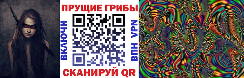 Псилоцибиновые грибы прущие грибы  Пудож 