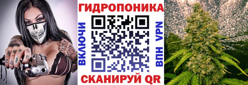 закладки  Пудож  Бошки марихуана ГИДРОПОН 